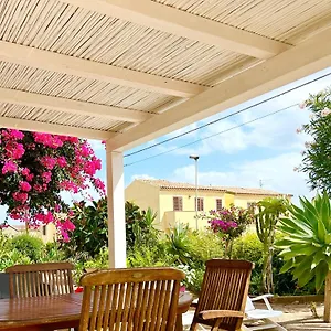 Bouganville , Valledoria (Sardinia) Italy